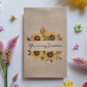 Seed Packet filled with sunflower seeds. "You are my sunshine" written between sunflowers.